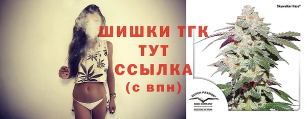 ГАЛЛЮЦИНОГЕННЫЕ ГРИБЫ Алзамай